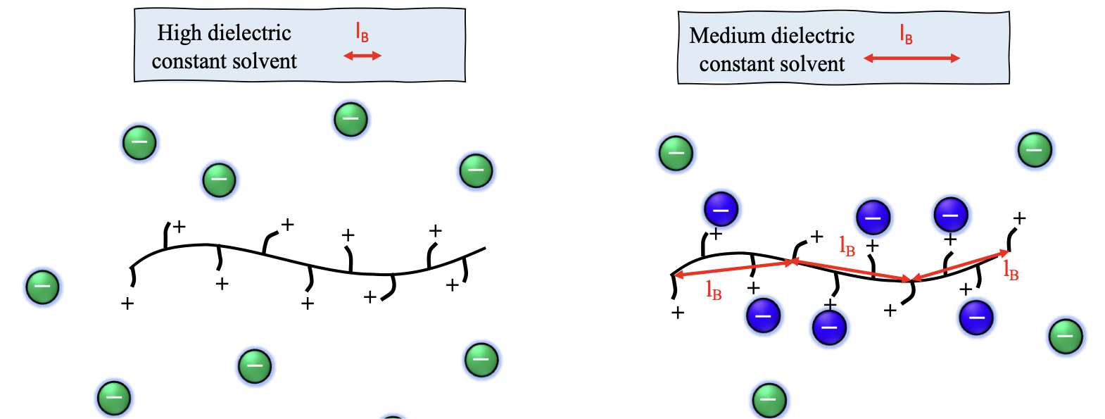 Counterion condensation schematic